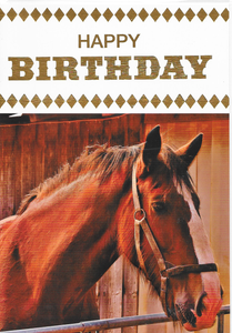 Happy Birthday Card Horse Jumping Equestrian Theme Top Quality M8