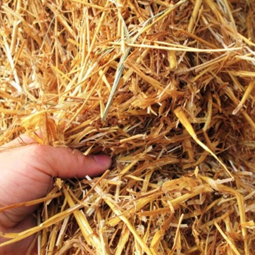 100Pcs 20cm Environmentally Straws Eco-Friendly Degradable Straws Bar - Picture 3 of 12