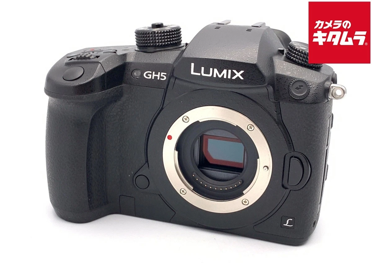 Panasonic LUMIX DC-GH5 Digital Cameras for Sale | Shop New & Used