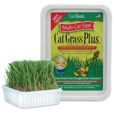 Miracle Care Cat A'bout Grass Kit for 5.25 Ounce (Pack of 1), Green