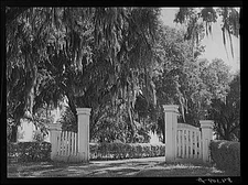 Photo:Gate and grounds of old plantation house near Schriever, Louisiana