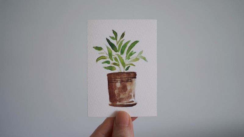 ACEO Print - Watercolor painting - Titled "Sage in Terracotta"