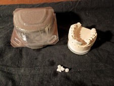 Vintage Tooth Mold Example Oddities