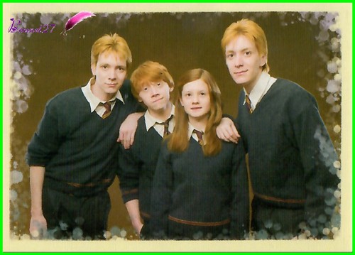 Image PANINI HARRY POTTER et l'Ordre du Phoenix - and the order of the Phoenix - Bild 47 von 76