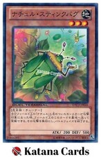 Yugioh Cards | Naturia Stinkbug Common | DTC3-JP048 Japanese