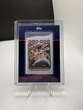 2008 Topps - Jonathan Papelbon Silk Framed /50