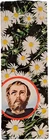 SAN GIUSEPPE COVER -HOLY CARD