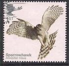 GB 2019 QE2 1st Birds of Prey ' Sparrowhawk ' Ex Fdc SG 4207 ( D128 )