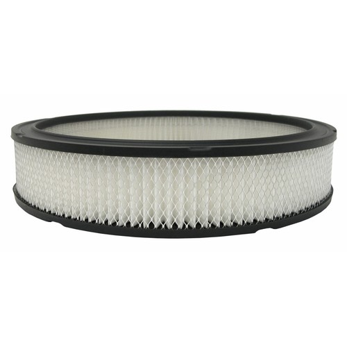 A355C AC Delco Air Filter for E150 Van E250 E350 F150 Truck F250 F350 Econoline - Picture 1 of 1