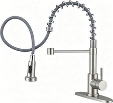Doherty Single Handle Pull-Down Sprayer Kitchen Faucet in Stainless Finish