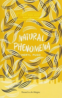 Natural Phenomena by Meryl Pugh 1908058501 FREE Shipping