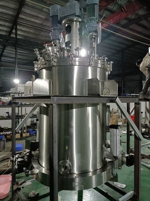 Lab Stainless steel Reactor Jacket Stirring Reaction Fixed bed catalysis