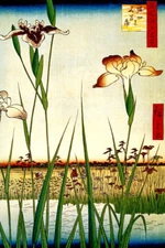 HORIKIRI IRIS GARDEN FLOWERS MARSH WOODBLOCK JAPANESE PRINT BY HIROSHIGE REPRO 