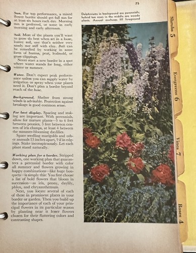 Better Homes and Gardens Garden Book Second Edition 1954 5 Ring Binder - Picture 9 of 9