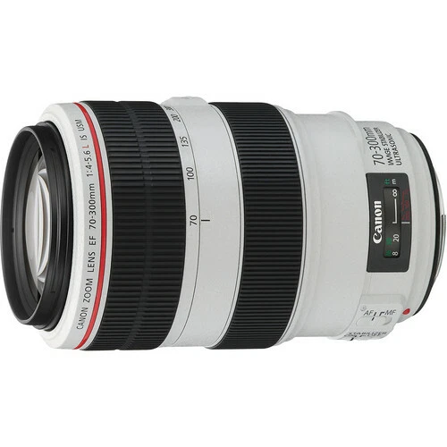 Canon EF 70-300mm f/4-5.6L IS USM Lens - 4426B002 13803122251 | eBay