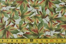 By 1/2 Yd, Rust & Green Leaves on Quilt Cotton/Oakhurst/Signature Classics,P5999