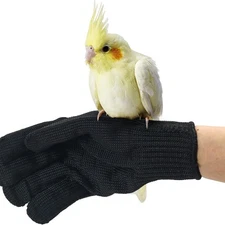 2Pairs Bird Training Anti-Bite Gloves,Level 5 Protection,Parrot Chewing Gloves❀