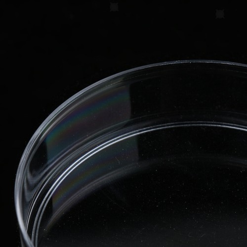 10 Pezzi Piatti Petri Plastica 35-90MM Piatto Coltura Cellulare Sterile Resistente alle Alte Temperature - Foto 25 di 38