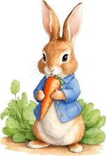Peter Rabbit Carrot Wall Art Bedroom Nursery Decor Colourful Vinyl Sticker Decal