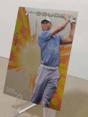 2021 Upper Deck Goodwin Champions Tiger Woods #G25