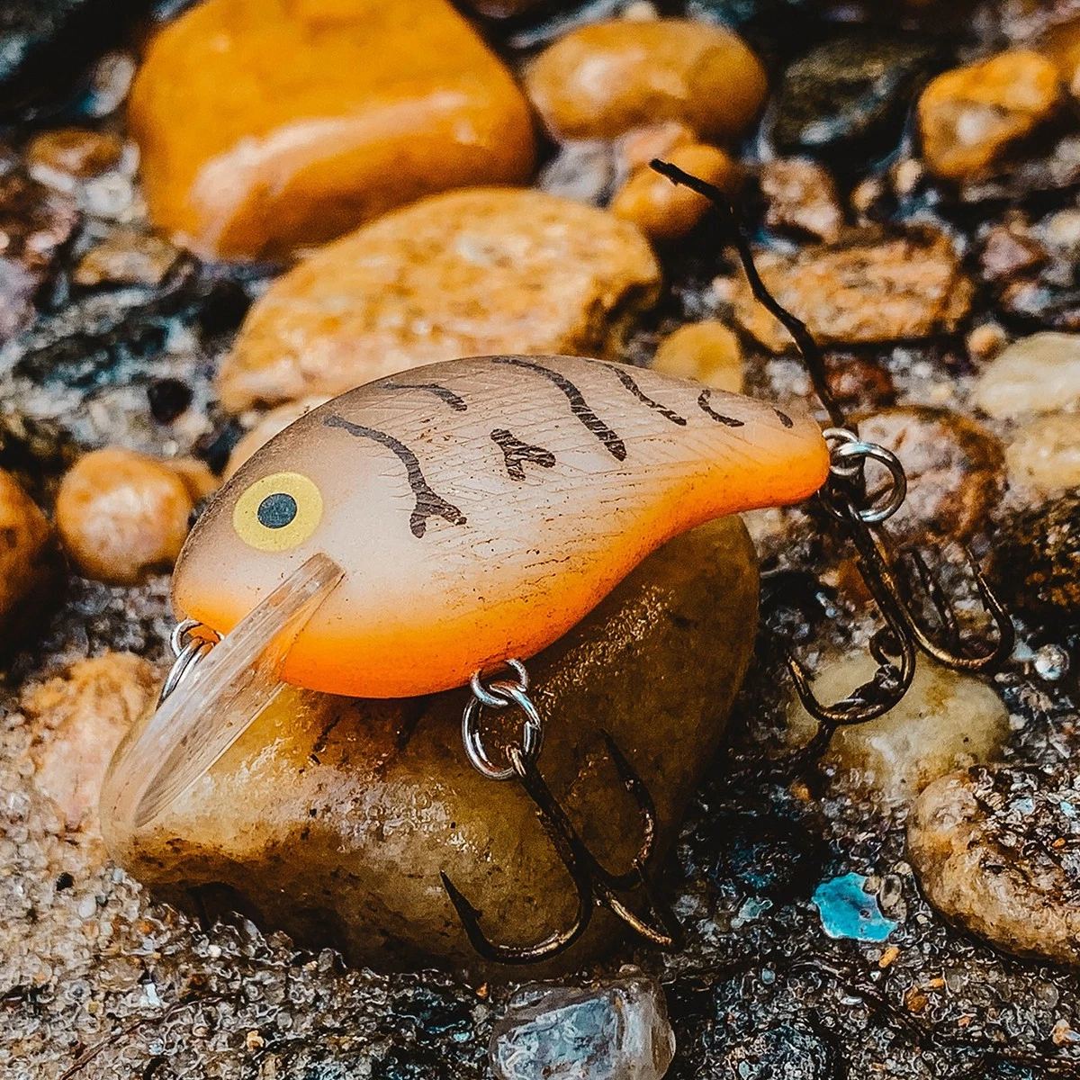 Rebel Wee Frog - Thumbnail 3