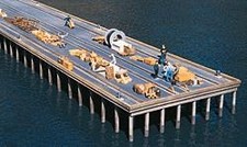 Walthers 933-3154 HO Pier Add-On Structure Building Kit