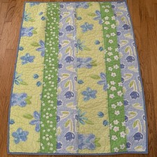 Pottery Barn Kids Baby Butterflies Flowers Blue Crib Toddler Quilt