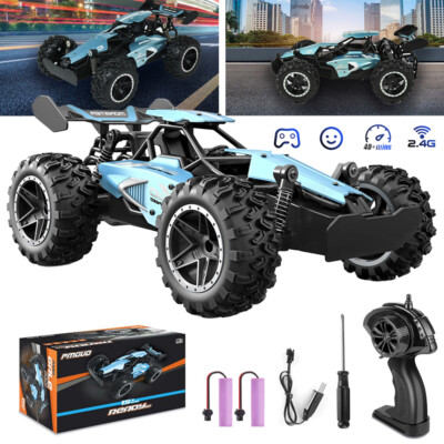 Ferngesteuertes Auto 1:18 RC Offroad 15km/h Monster Truck Buggy 40+ Minuten DE