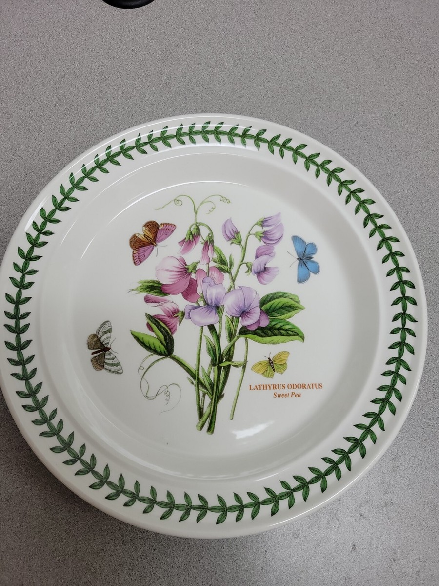 Dinner Plate Portmeirion Botanic Garden Sweet Pea Lathyrus