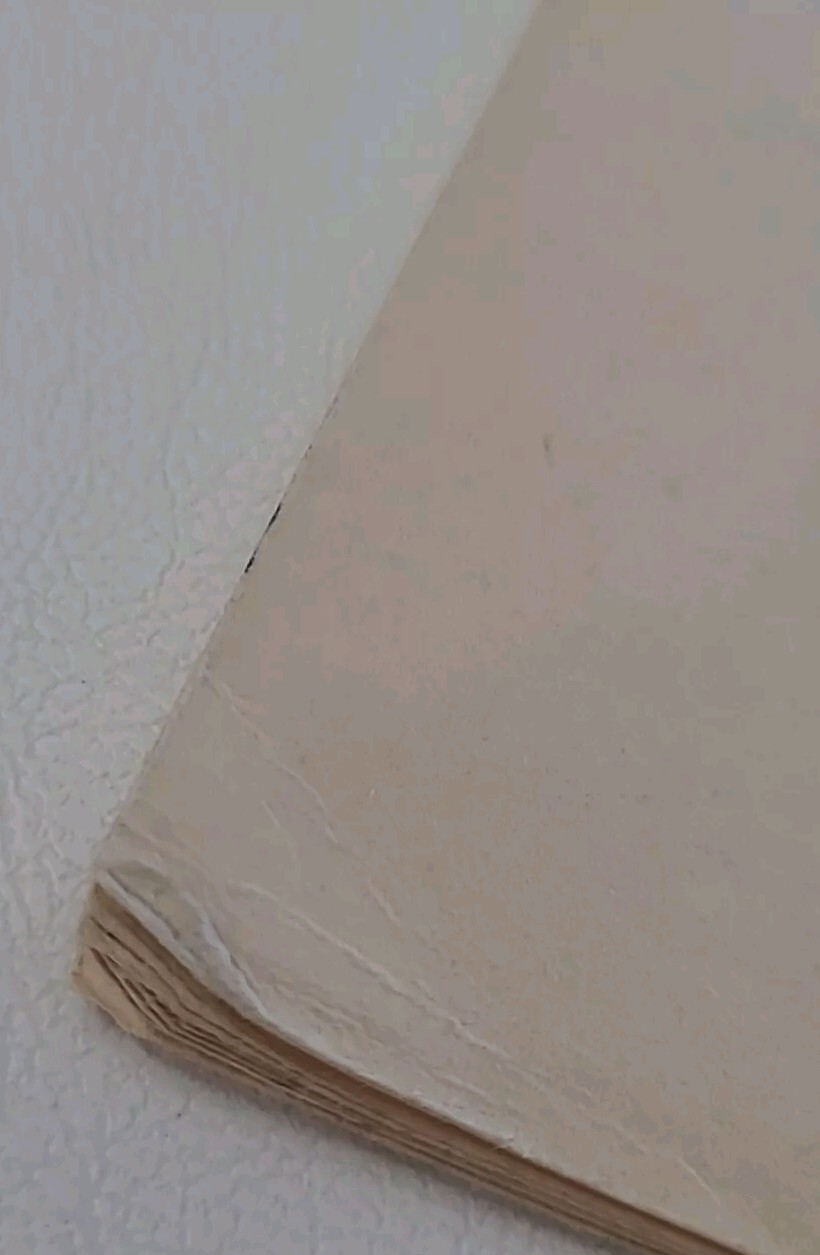 Picture 4 of 24