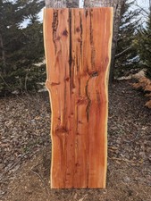 Cedar slab thick slab  Live Edge Epoxy slab