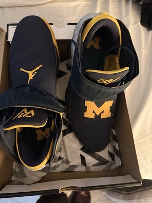 Jordan s why not 0.1 university shoe 