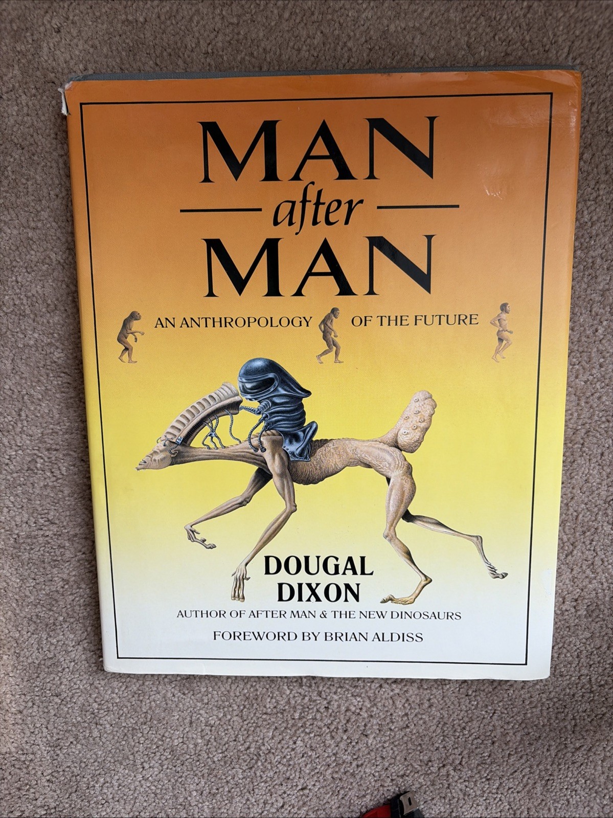 Man after Man : An Anthropology of the Future by Dougal Dixon (1990, Hardcover)