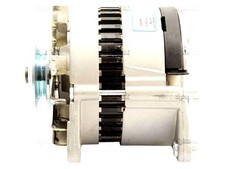 Lichtmaschine Für Schutzhülle David Brown 1194 1294 1394 1494 1594 1694 Traktore