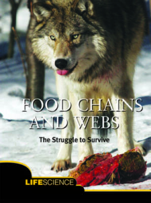 Food Chains and Webs (Lets Explore Science) - Paperback - GOOD
