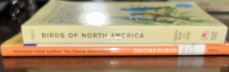 Vintage Birds of North America Guide To Field Indentification 1966 & Shorebirds  - Image 3 of 4