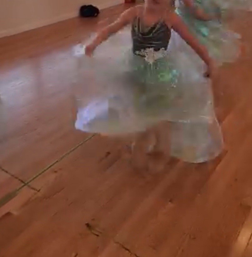 Weissman Dance Costume CHILD MEDIUM tutu Dress Re… - image 3