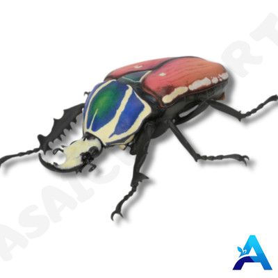 Bandai Mini Figure Mecynorhina torquata ugandensis Diversity of Life on Earth