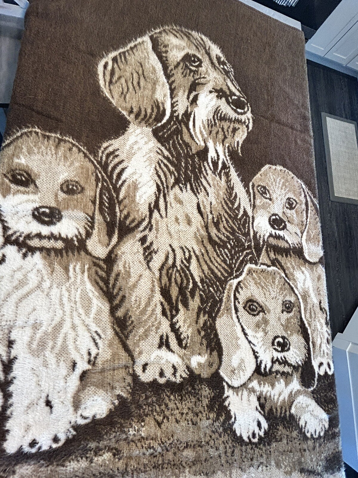Picture 2 of 6