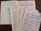 Hindemith Trauermusik for Viola and Piano - New part/score - FREE SHIPPING! — photo 2