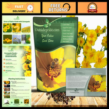 Lance-Leaved Coreopsis Seeds - 1 lb, Drought Tolerant Perennial Flower for Xeris 69.99 per gallon