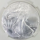 2024-P US Uncirculated Silver Eagle "Star Privy"-1 oz .999 Fine Silver-BU