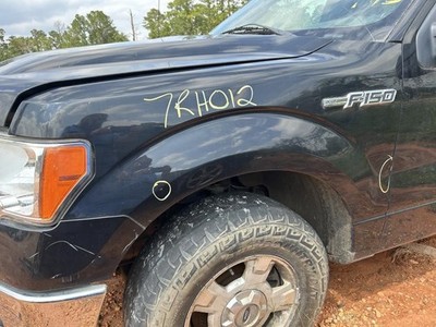 Driver Fender Without Wheel Lip Moulding Fits 09-14 FORD F150 PICKUP 104893081