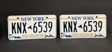 New York Plates KNX-6539 Excelsior Statue of Liberty NYC Skyline Niagara Falls