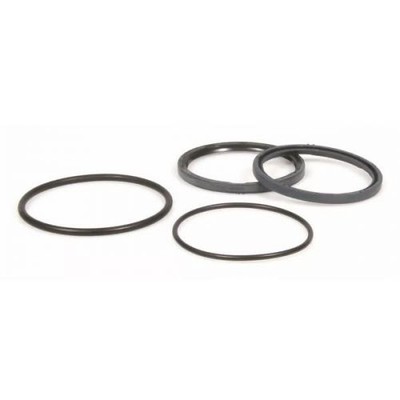 Honda Polini 242033 Roller Riemenscheibe Wellendichtring Kit