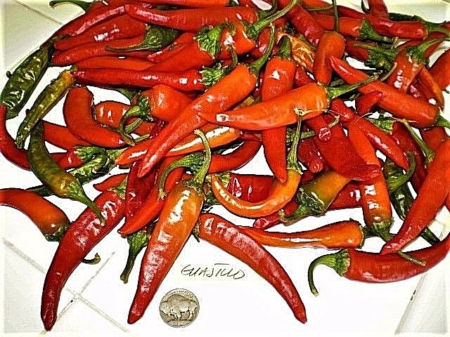 Mexican Chili Pepper Seeds