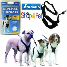 lupi harness small