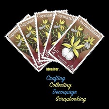 VINTAGE Unused Stamps ORCHIDS : 5 * ¼c Dendrophylax Orchid; Cayman Islands [MNH]