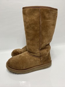 ugg 5229