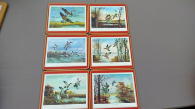 SET 6 MATTEN Untersetzer (6) ENTE ENTE GANS GOOSE The Reject China Shops